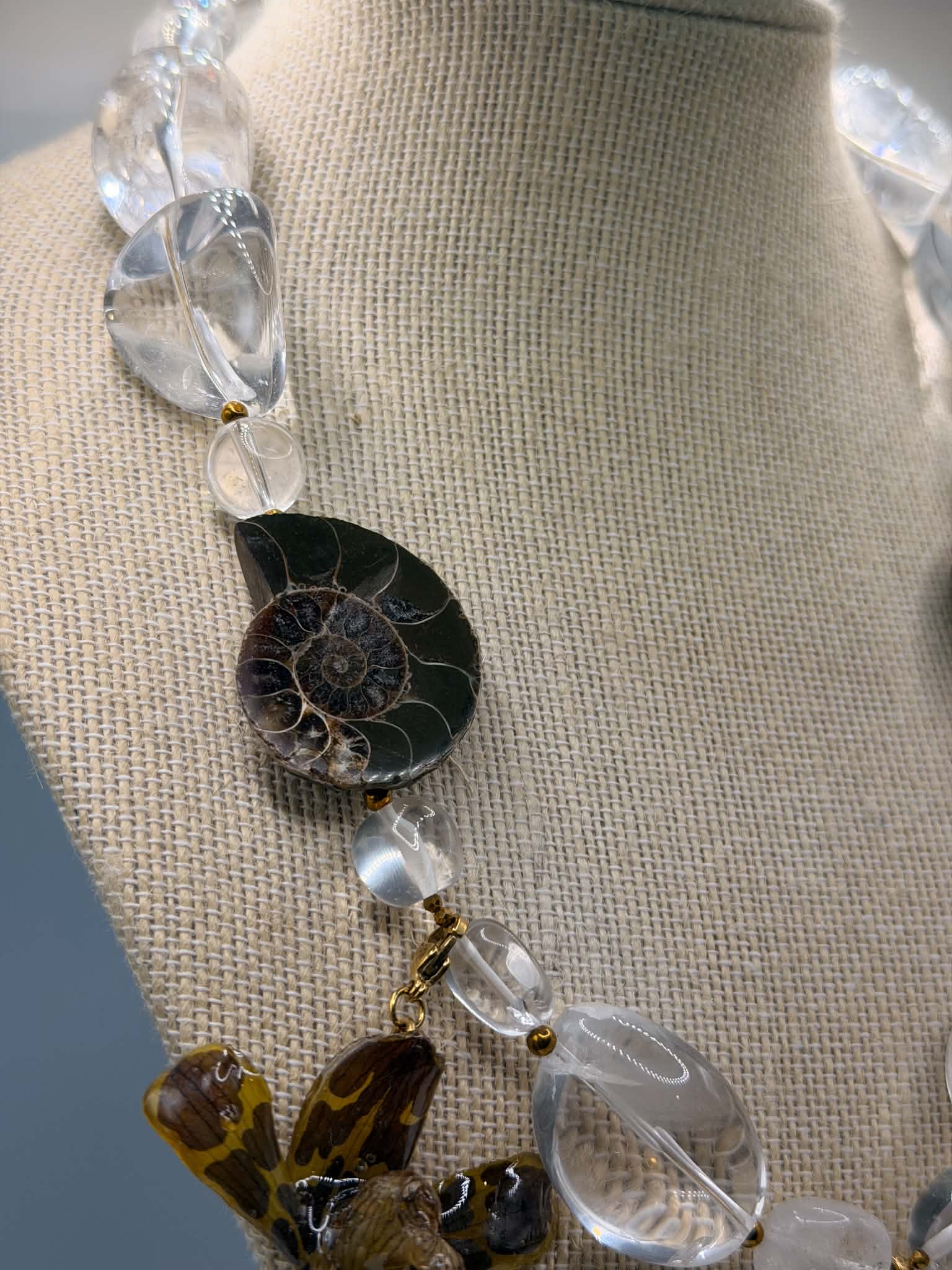 Orchid Fossil