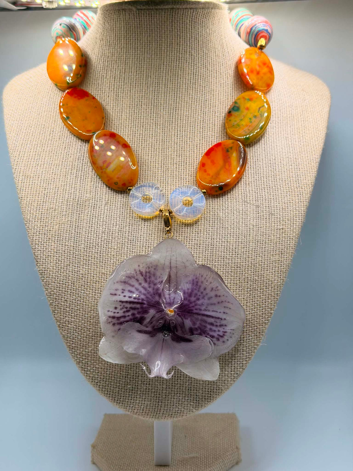 Tropical Orchid