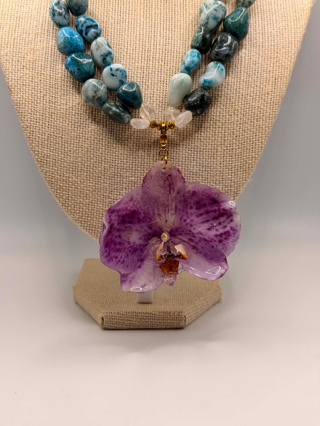 Ocean Orchid
