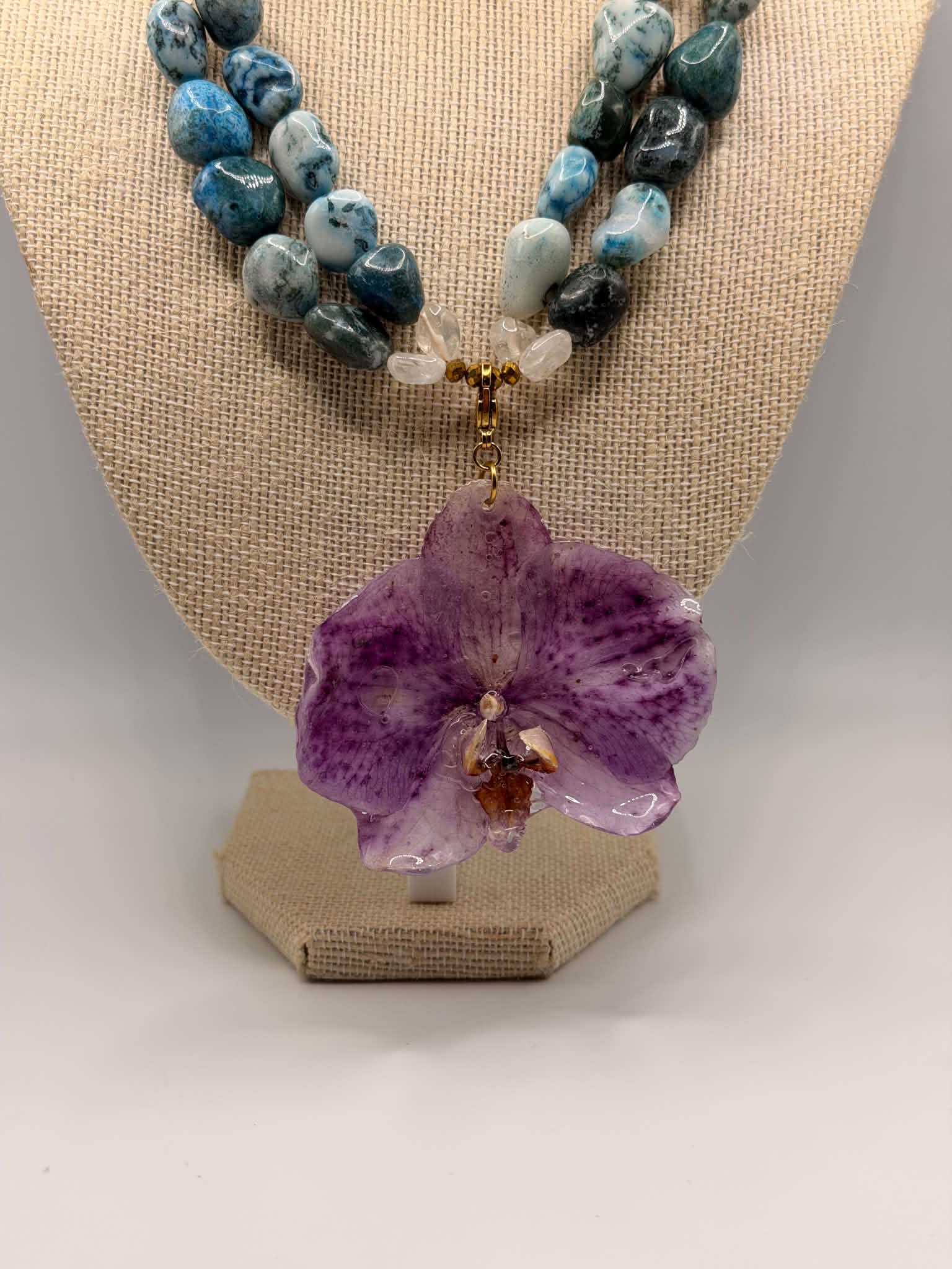 Ocean Orchid
