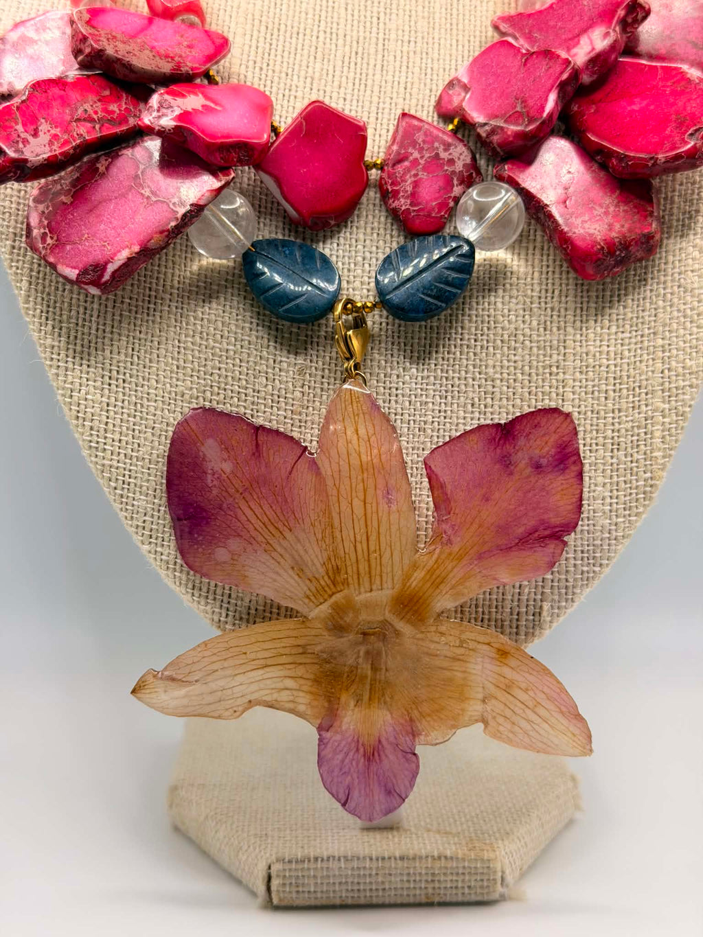 Blush Orchid