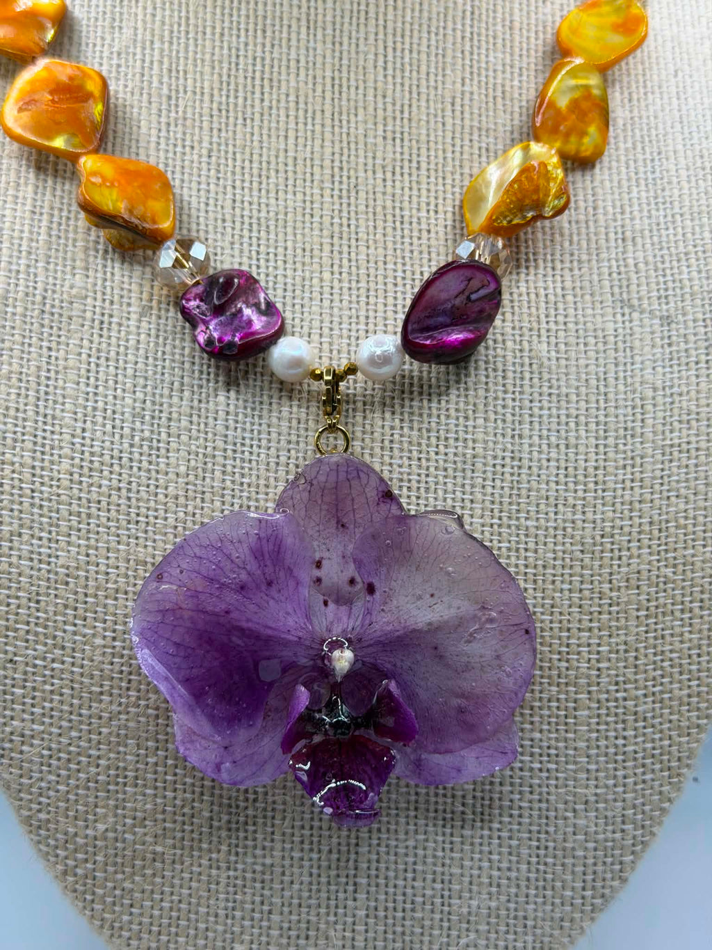 Sunset Orchid