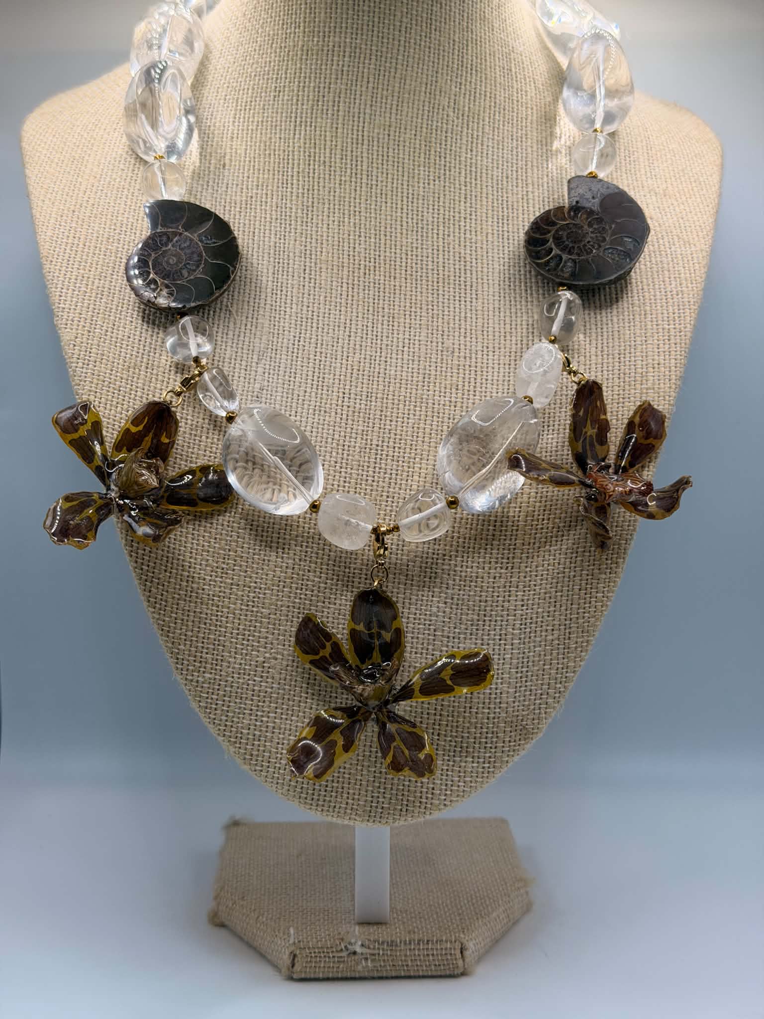 Orchid Fossil