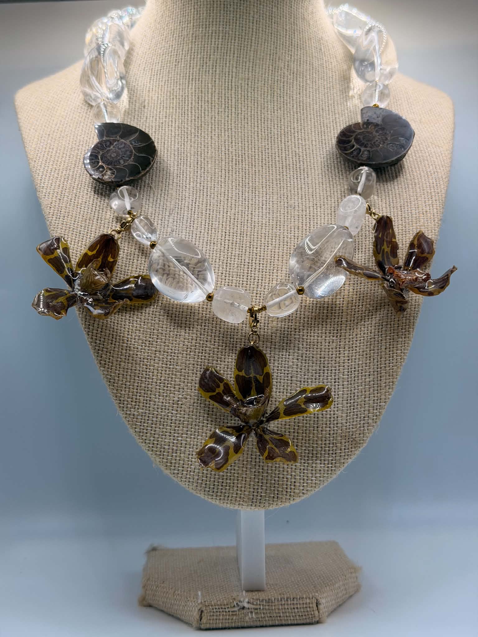 Orchid Fossil