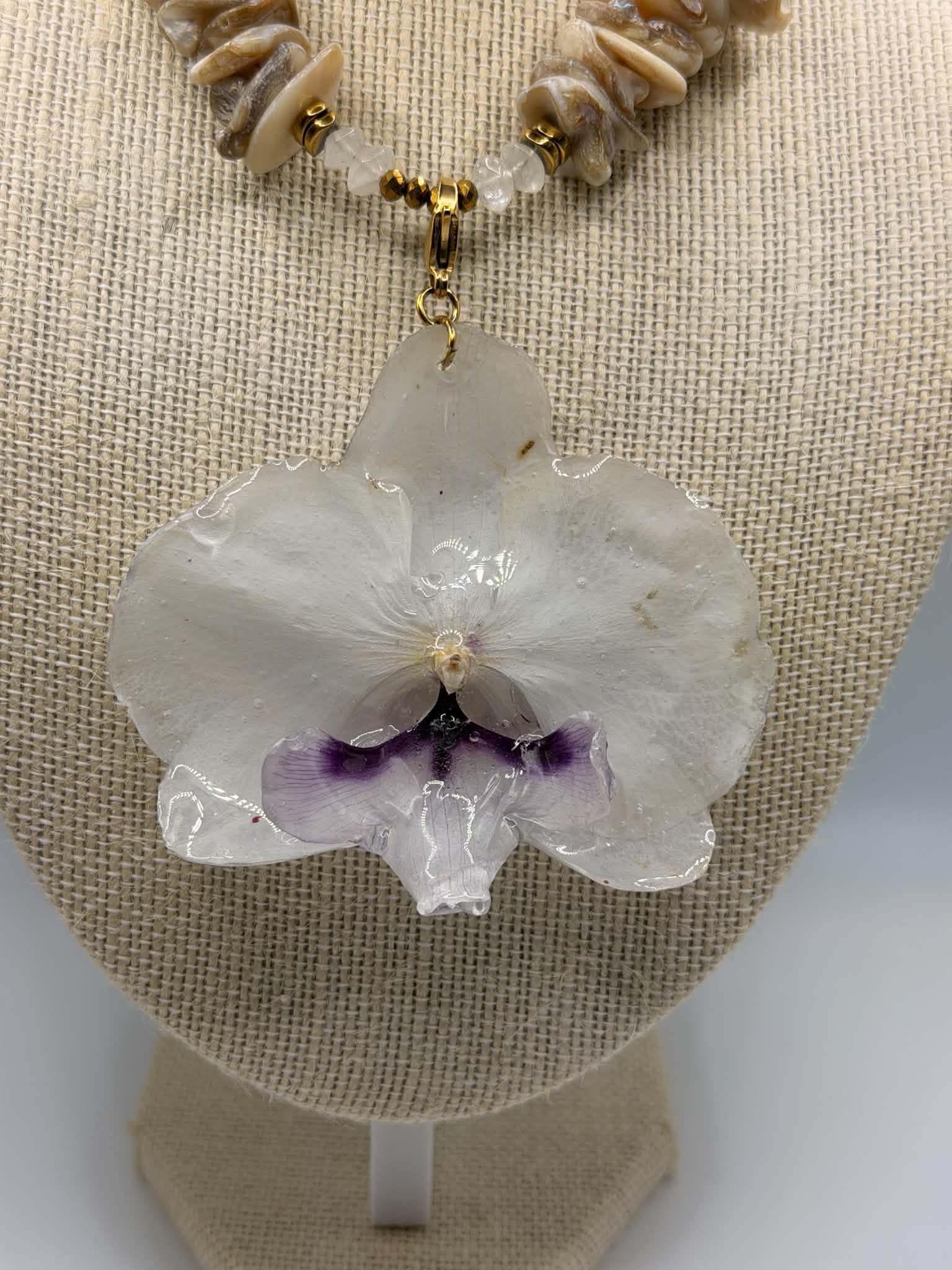 Pearl Orchid