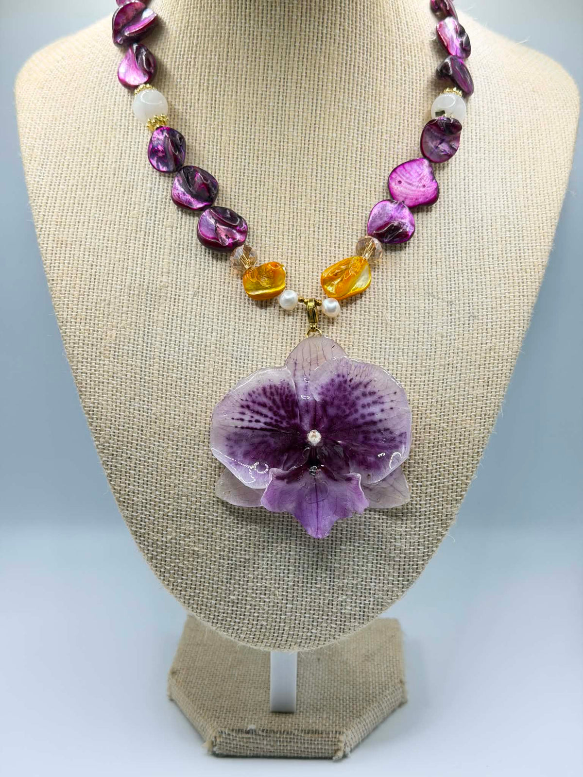 Royal Orchid