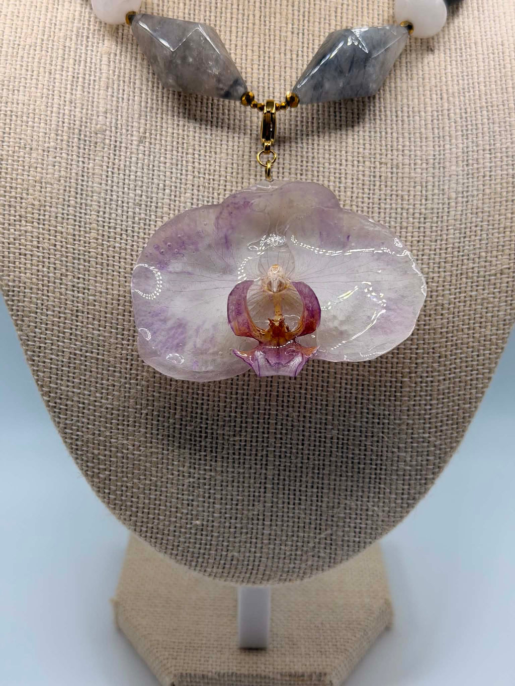 Silver Orchid