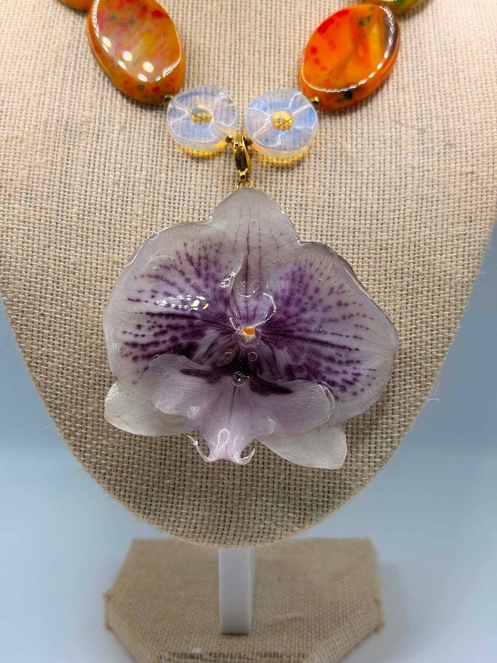 Tropical Orchid