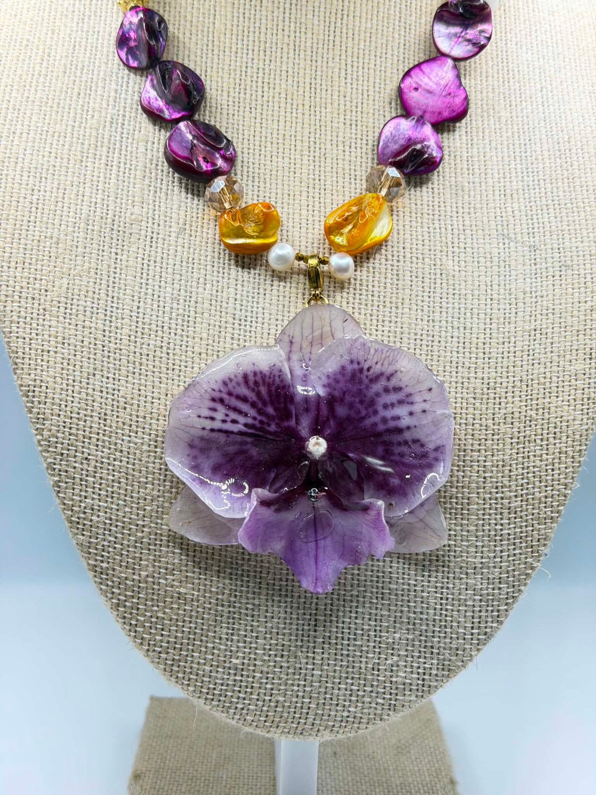 Royal Orchid