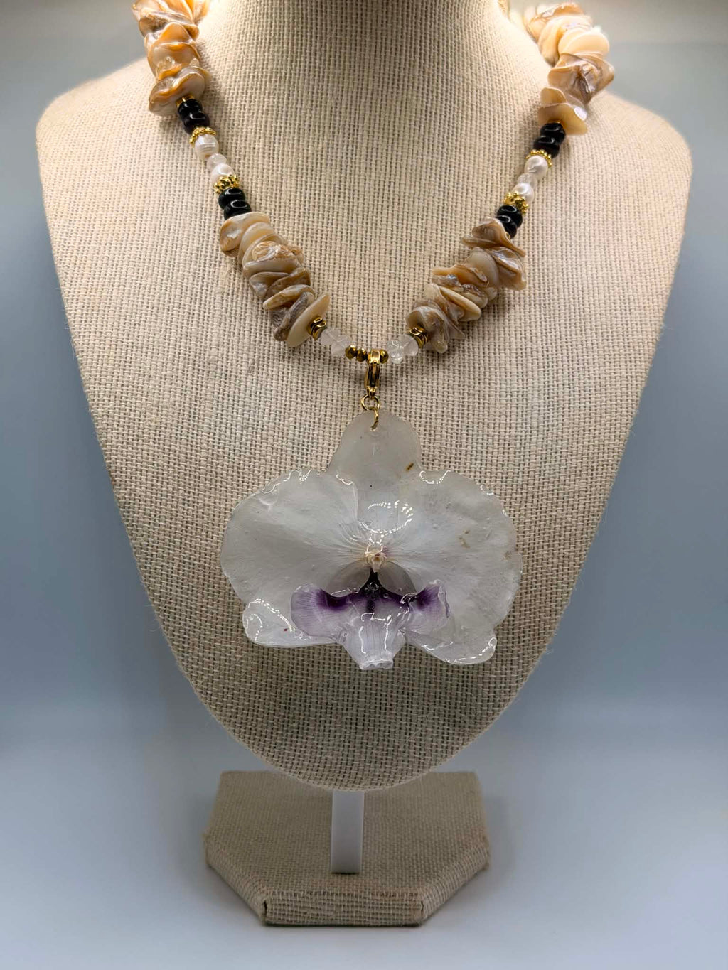 Pearl Orchid