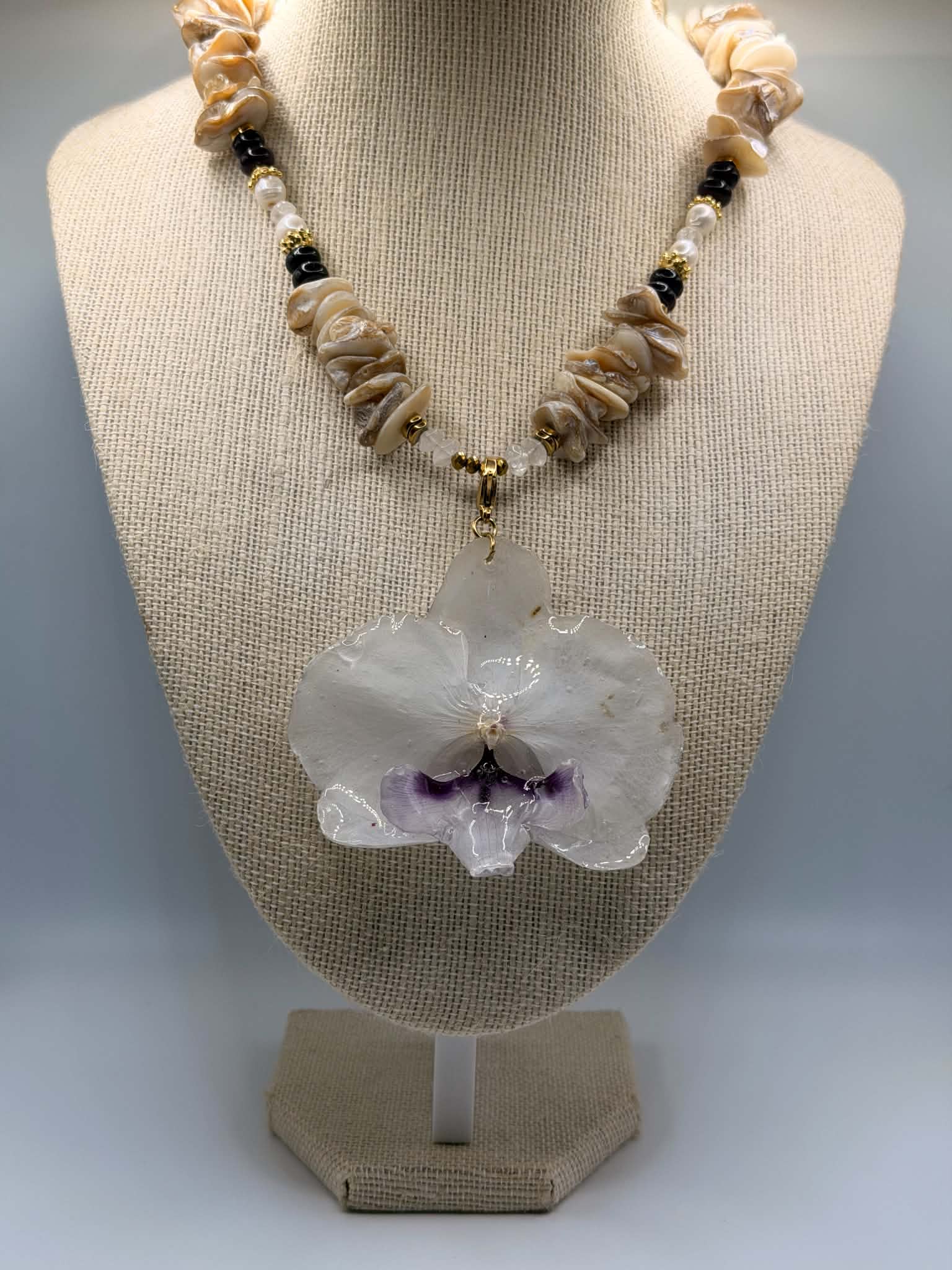 Pearl Orchid